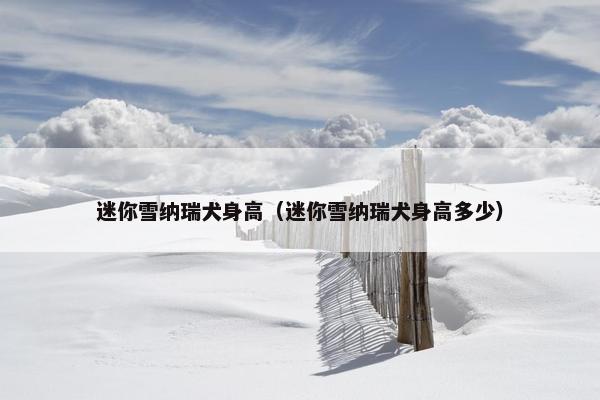 迷你雪纳瑞犬身高（迷你雪纳瑞犬身高多少）