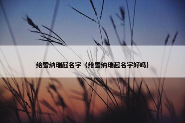给雪纳瑞起名字（给雪纳瑞起名字好吗）