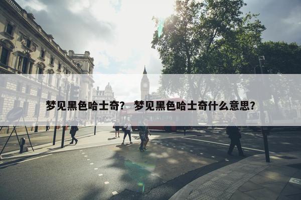 梦见黑色哈士奇？ 梦见黑色哈士奇什么意思？