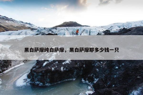 黑白萨摩纯白萨摩，黑白萨摩耶多少钱一只