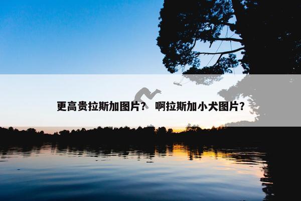 更高贵拉斯加图片？ 啊拉斯加小犬图片？