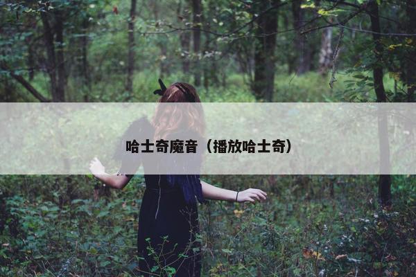 哈士奇魔音（播放哈士奇）