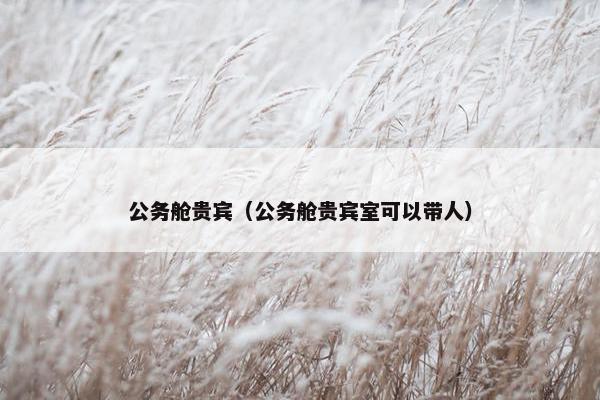 公务舱贵宾（公务舱贵宾室可以带人）