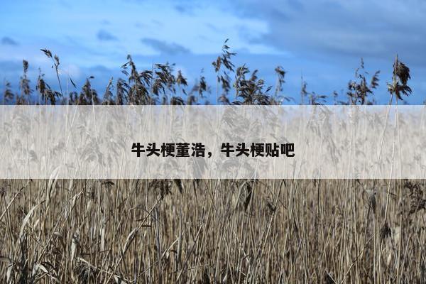 牛头梗董浩，牛头梗贴吧