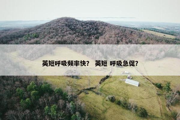 英短呼吸频率快？ 英短 呼吸急促？