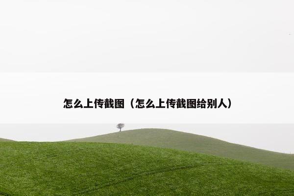 怎么上传截图（怎么上传截图给别人）