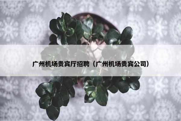 广州机场贵宾厅招聘（广州机场贵宾公司）