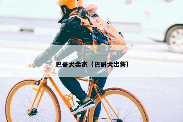 巴哥犬卖家（巴哥犬出售）
