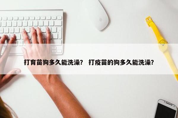 打育苗狗多久能洗澡？ 打疫苗的狗多久能洗澡？