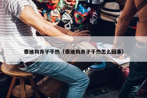 泰迪狗鼻子干热（泰迪狗鼻子干热怎么回事）