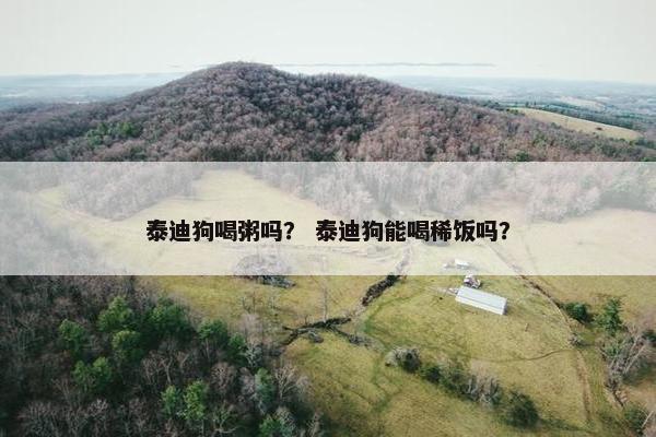 泰迪狗喝粥吗？ 泰迪狗能喝稀饭吗？