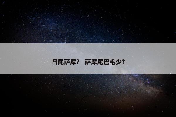 马尾萨摩？ 萨摩尾巴毛少？