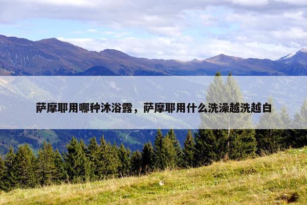 萨摩耶用哪种沐浴露，萨摩耶用什么洗澡越洗越白