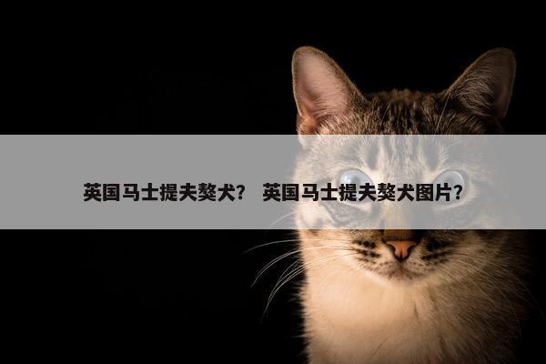 英国马士提夫獒犬？ 英国马士提夫獒犬图片？