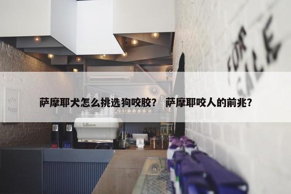 萨摩耶犬怎么挑选狗咬胶？ 萨摩耶咬人的前兆？