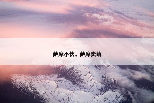 萨摩小伙，萨摩卖萌
