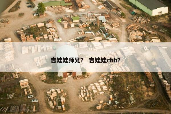 吉娃娃师兄？ 吉娃娃chh？