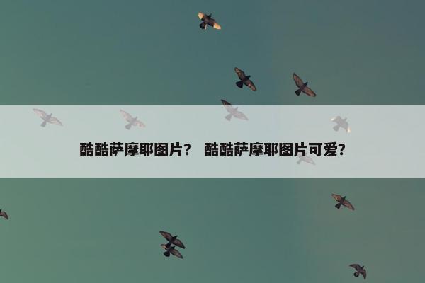 酷酷萨摩耶图片？ 酷酷萨摩耶图片可爱？