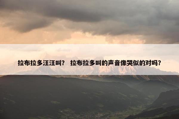 拉布拉多汪汪叫？ 拉布拉多叫的声音像哭似的对吗？