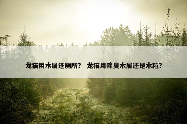 龙猫用木屑还厕所？ 龙猫用除臭木屑还是木粒？