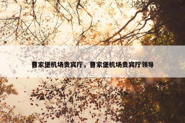 曹家堡机场贵宾厅，曹家堡机场贵宾厅领导