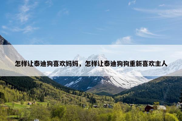 怎样让泰迪狗喜欢妈妈，怎样让泰迪狗狗重新喜欢主人