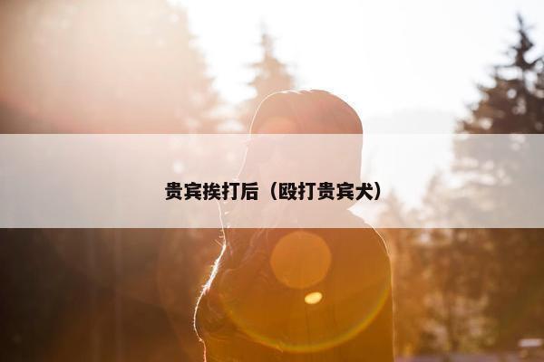 贵宾挨打后（殴打贵宾犬）