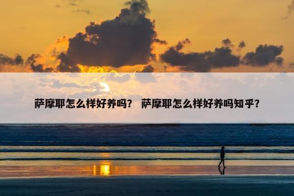萨摩耶怎么样好养吗？ 萨摩耶怎么样好养吗知乎？