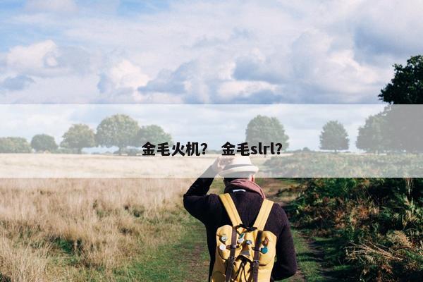 金毛火机？ 金毛slrl？
