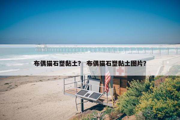 布偶猫石塑黏土？ 布偶猫石塑黏土图片？