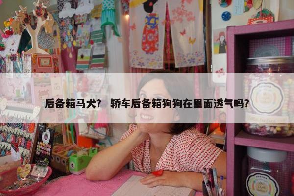 后备箱马犬？ 轿车后备箱狗狗在里面透气吗？