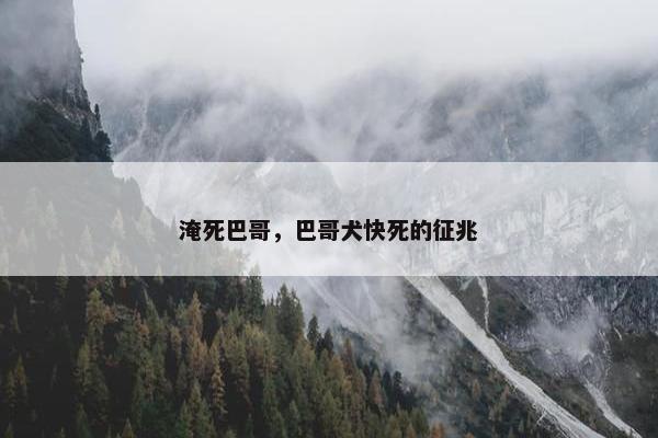 淹死巴哥，巴哥犬快死的征兆
