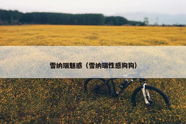 雪纳瑞魅惑（雪纳瑞性感狗狗）