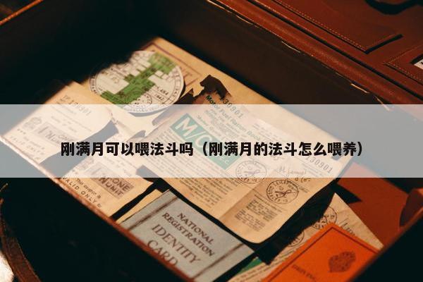 刚满月可以喂法斗吗（刚满月的法斗怎么喂养）