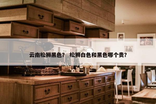 云南松狮黑色？ 松狮白色和黑色哪个贵？