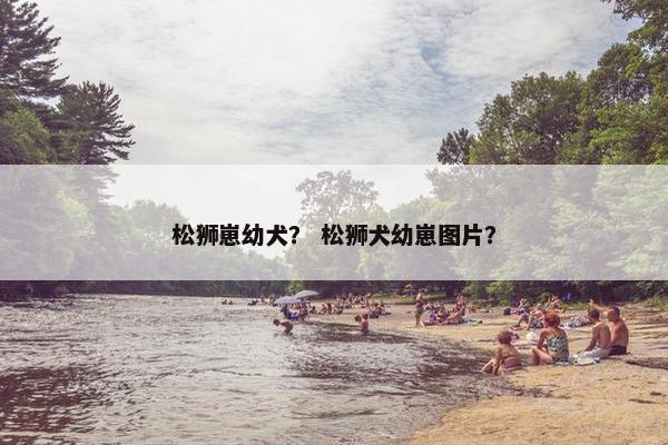 松狮崽幼犬？ 松狮犬幼崽图片？