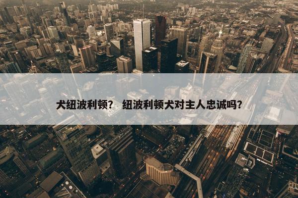 犬纽波利顿？ 纽波利顿犬对主人忠诚吗？