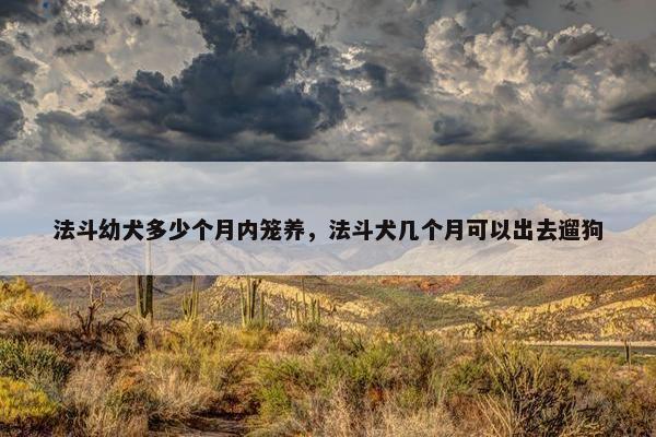 法斗幼犬多少个月内笼养，法斗犬几个月可以出去遛狗