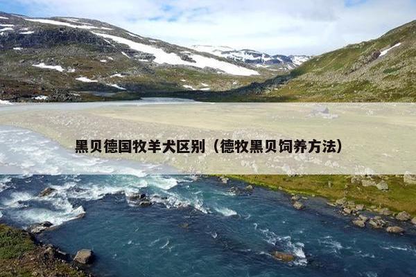 黑贝德国牧羊犬区别（德牧黑贝饲养方法）
