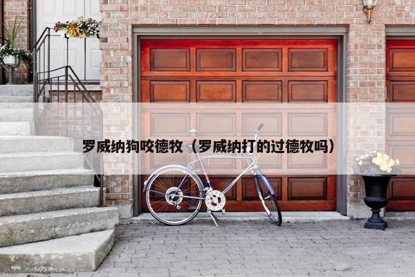 罗威纳狗咬德牧（罗威纳打的过德牧吗）
