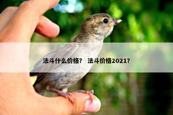 法斗什么价格？ 法斗价格2021？