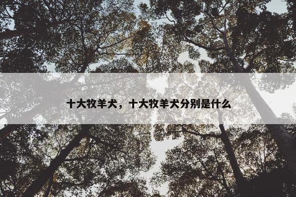 十大牧羊犬，十大牧羊犬分别是什么