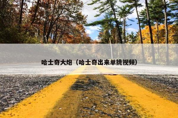 哈士奇大炮（哈士奇出来单挑视频）
