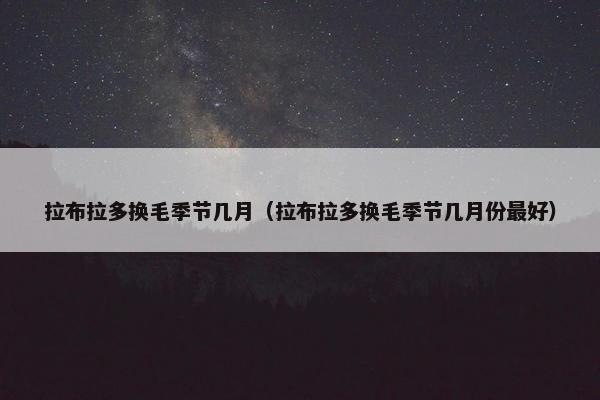 拉布拉多换毛季节几月（拉布拉多换毛季节几月份最好）