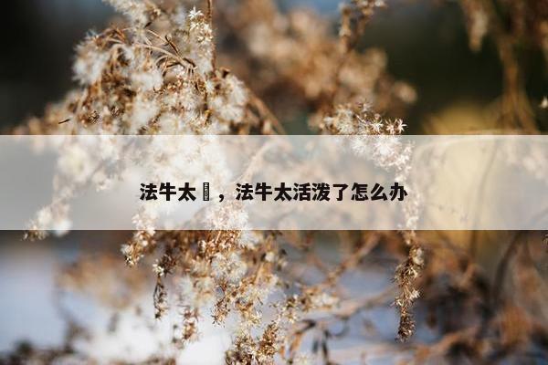 法牛太廋，法牛太活泼了怎么办
