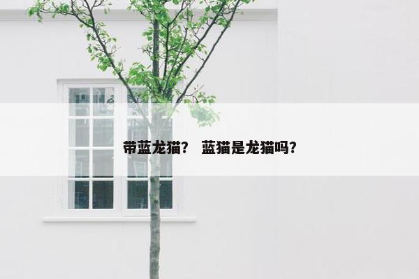 带蓝龙猫？ 蓝猫是龙猫吗？
