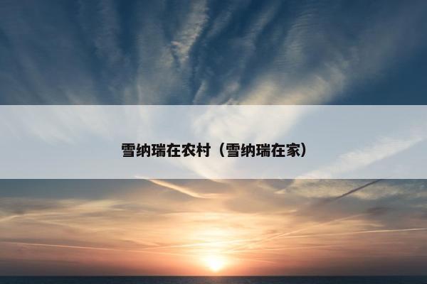 雪纳瑞在农村（雪纳瑞在家）
