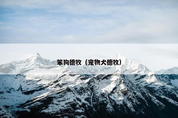 笨狗德牧（宠物犬德牧）