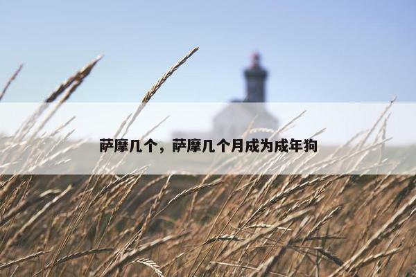 萨摩几个，萨摩几个月成为成年狗