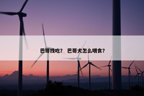 巴哥找吃？ 巴哥犬怎么喂食？